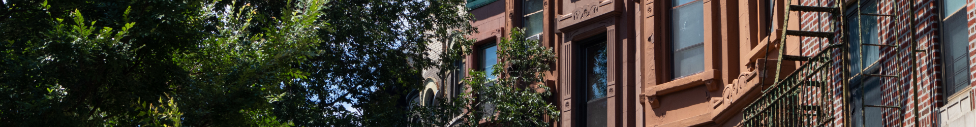 NYC Brooklyn 004 1920X250