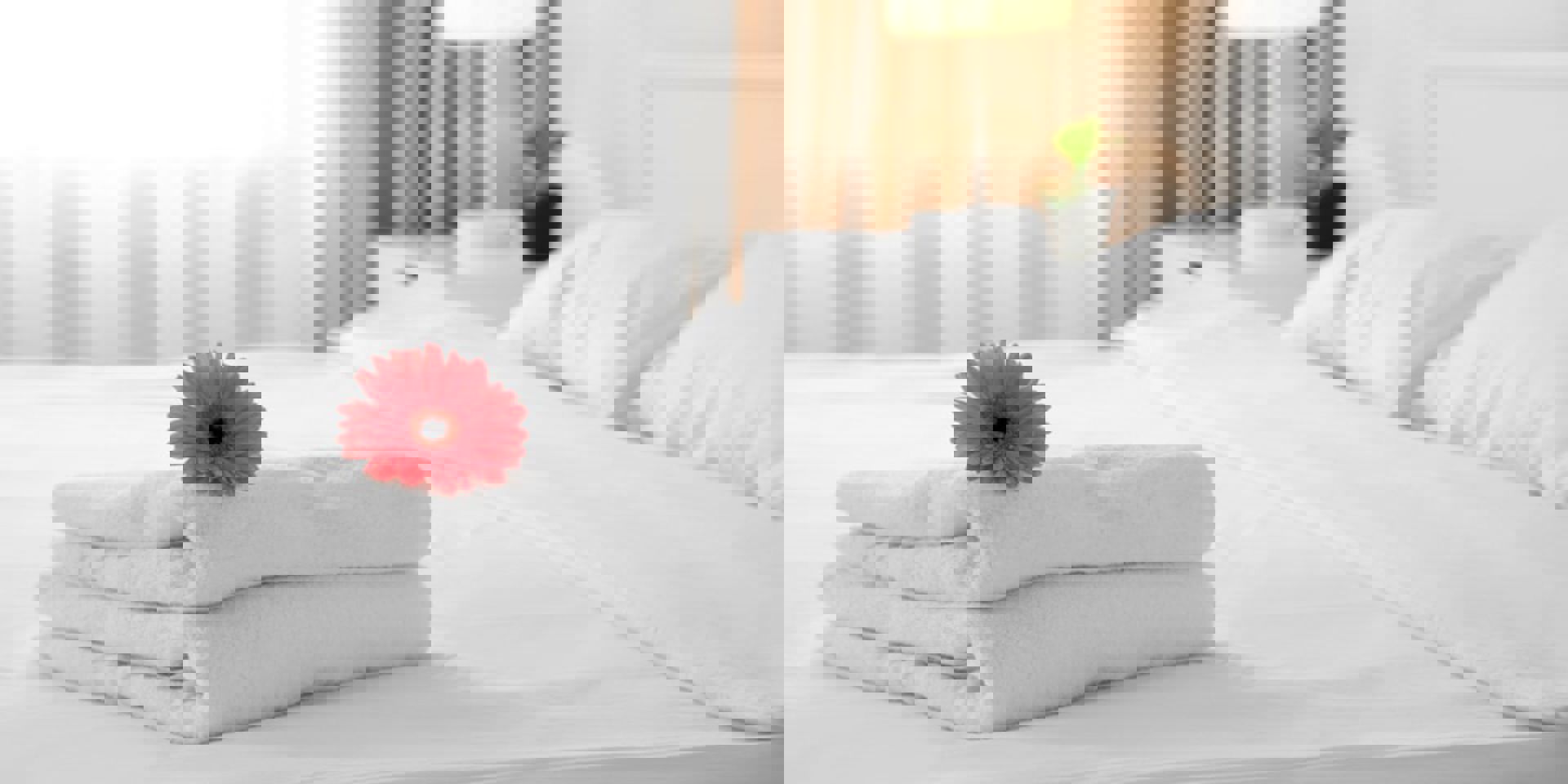 Hotel Banner